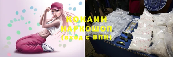 индика Алексеевка