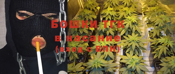 индика Алексеевка