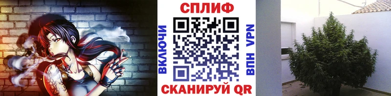 магазин  наркотиков  Заинск  KRAKEN ссылка  Канабис семена 